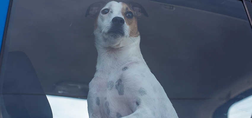 Car Lockout Solutions in Los Altos, California